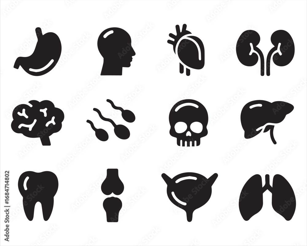 Human organ
