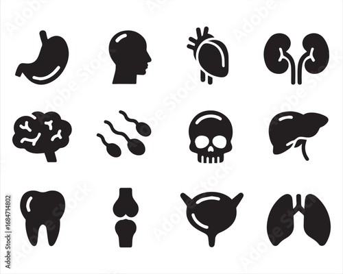 Human organ