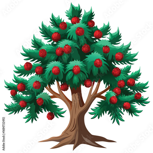 A rugged yew tree with dark needles and red berries, a classic illustration on a clean white background, for nature or evergreen themes.