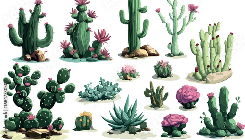 Collection of diverse desert cacti and succulents with vibrant pink flowers in a natural setting