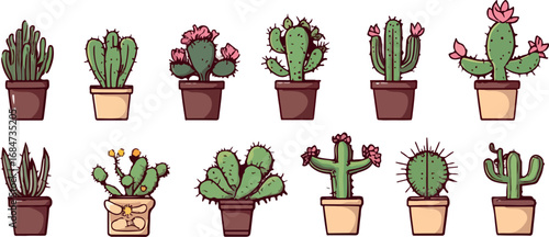 Collection of various potted cacti and succulents in a row with a white background