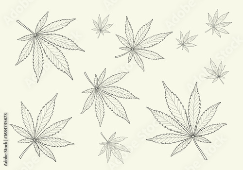 Intricate pattern of hand-drawn cannabis leaves in varying sizes and detailed textures across a light cream background