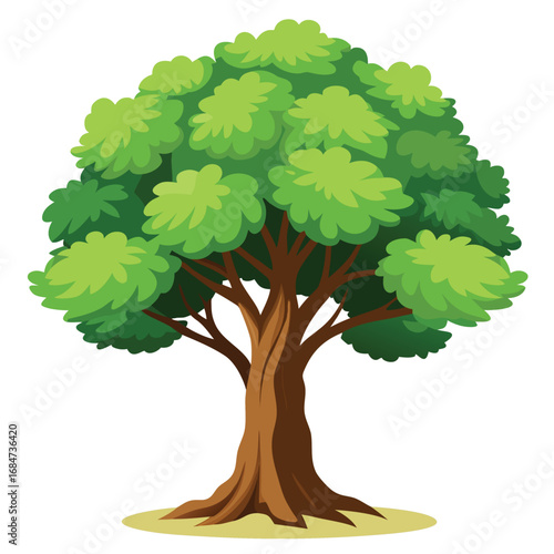 A sturdy beech tree with smooth bark and dense foliage, a strong illustration on a clean white background, for nature or forest themes.
