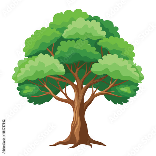 A sturdy sycamore tree with mottled bark and broad leaves, a strong illustration on a clean white background, for nature or landscape themes.