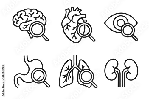 Outline icons of brain, heart, eye, stomach, lungs, kidneys with magnifying glass