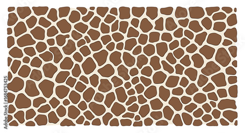 A close-up view of the distinctive brown and white patterned coat of a giraffe.