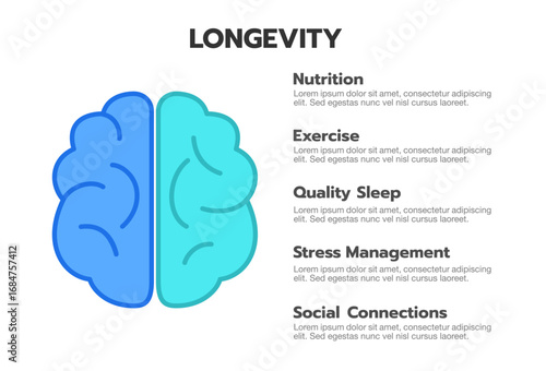 Longevity and healthy living infographic template featuring five essential lifestyle factors: nutrition, exercise, quality sleep, stress management, and social connections. Ideal for presentations.