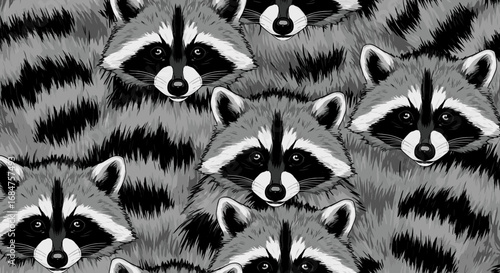 A close-up, black and white, patterned illustration of many raccoon faces with their distinctive black eye masks and striped tails.