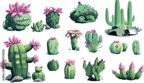 Collection of various potted cacti and succulents with pink flowers on a white background