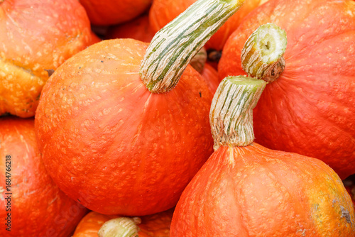 potimarron