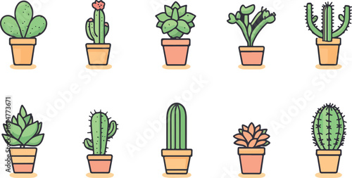Collection of ten potted cactus plants with various shapes and green spiky foliage