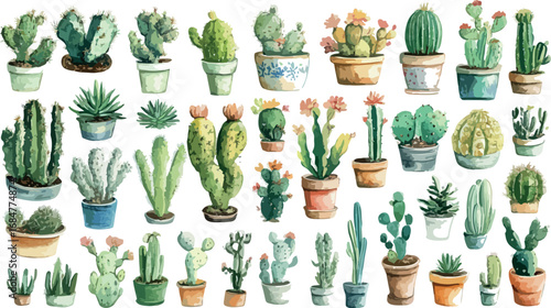 Collection of various potted cacti and succulents displayed in a grid pattern