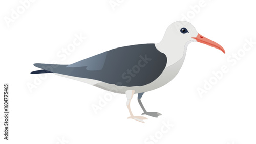 Illustration of a seagull standing with a white head gray wings and a pink beak on a white background