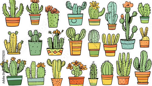 Collection of various potted cacti and succulents in colorful decorative planters and pots