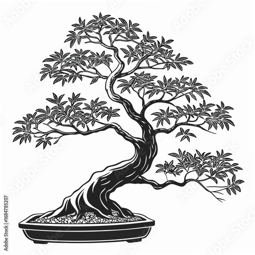 Artistic Black and White Drawing of a Mature Bonsai Tree vector illustration
