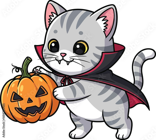 Cute gray tabby kitten dressed as a vampire holding a jack-o'-lantern for halloween vector
