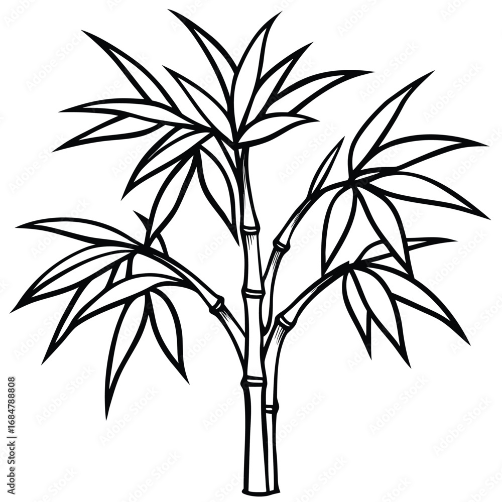 Obraz premium Black And White Line Drawing Of Bamboo Plant With Leaves illustration