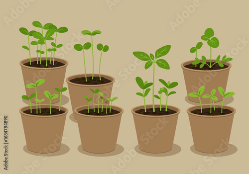 8 potted plants with sprouts varying in height and leaf structure are arranged against a tan background