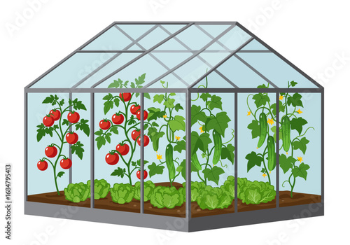 A greenhouse with thriving tomato cucumber and lettuce plants inside