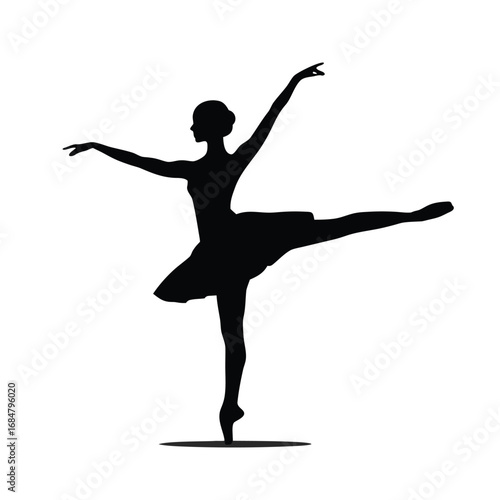 Elegant Ballerina Silhouette Captures Graceful Movement and Poise of Dance in Classic Form with Beautiful Artistic Composition