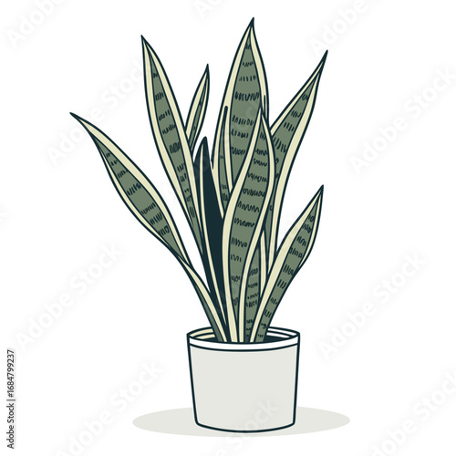 Hand Drawn Illustration of a Snake Plant in a Pot on White Background sansevieria houseplant