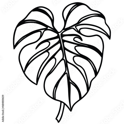 Minimalist Black Line Art of a Monstera Deliciosa Leaf plant tropical