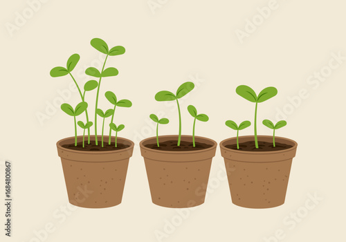 Three pots contain varying stages of seedling growth with the leftmost pot showing the most developed plants