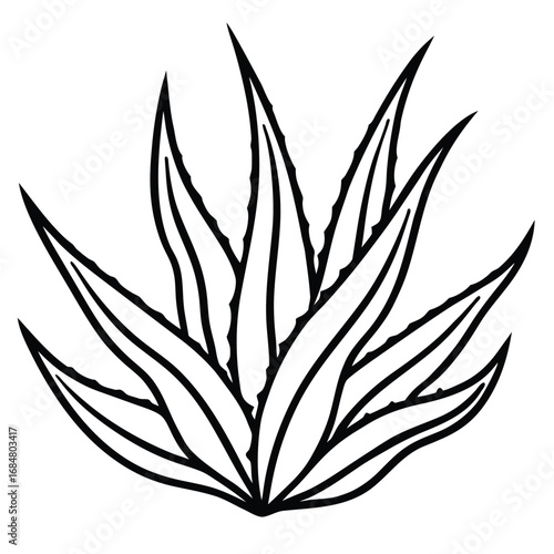 Simple black and white line drawing of a succulent aloe vera plant outline