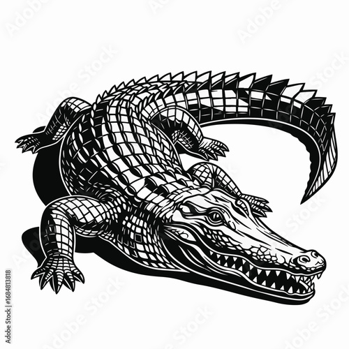 Detailed drawing of an alligator, scaly reptile with powerful jaws, in black and white style. Alligator illustration showcases its texture and form. Graphic alligator drawing for art.