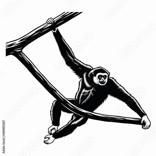 Gibbon hanging from branch in black and white artwork. Gibbon, a primate mammal, clinging to tree branch, displays its agility and strength in natural environment.