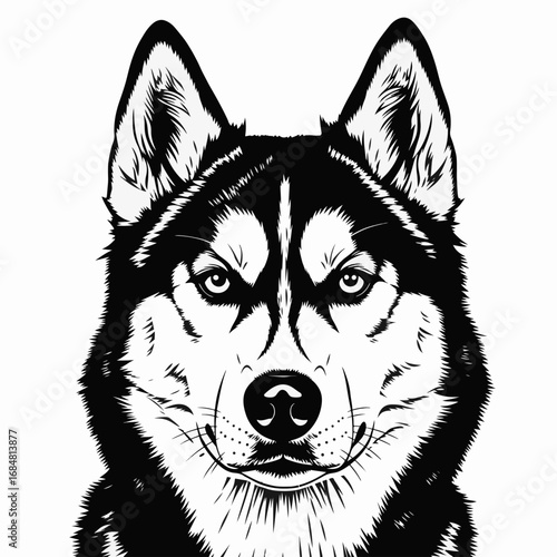 Siberian husky portrait in graphic style with black and white colors is perfect for animal lovers. Siberian husky looks impressive with its contrasting shades and expressive features.