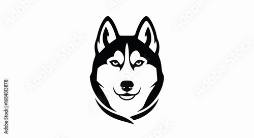 Siberian husky portrait in black and white, suitable for logo design. This crisp Siberian husky portrait captures majestic breed.