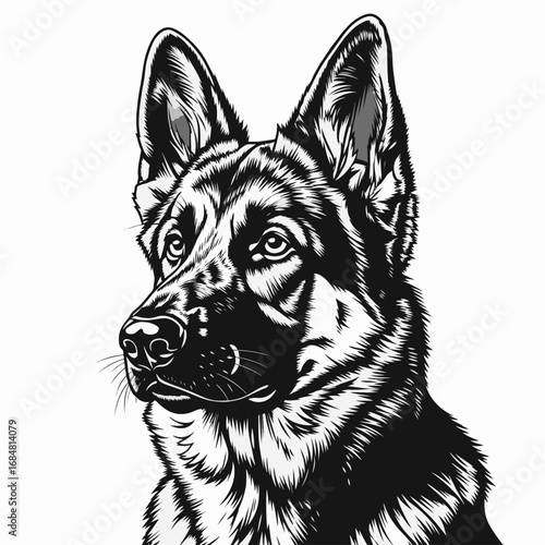 German shepherd portrait in black and white featuring stylized woodcut linework. German shepherd captures dog's noble expression with artistic rendering.
