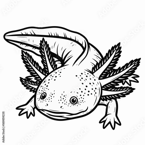 Adorable axolotl graphic art in woodcut style on white background. Axolotl illustration brings together artistic design and unique amphibian charm.