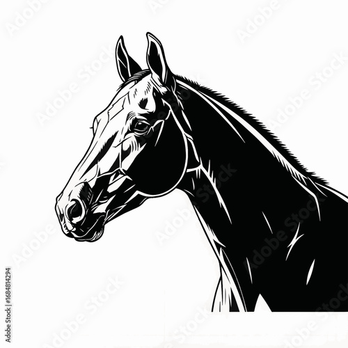 Black and white Akhal-Teke horse portrait showcases graphic style, its noble head presented in monochrome with strong outlines. Akhal-Teke horse portrait,