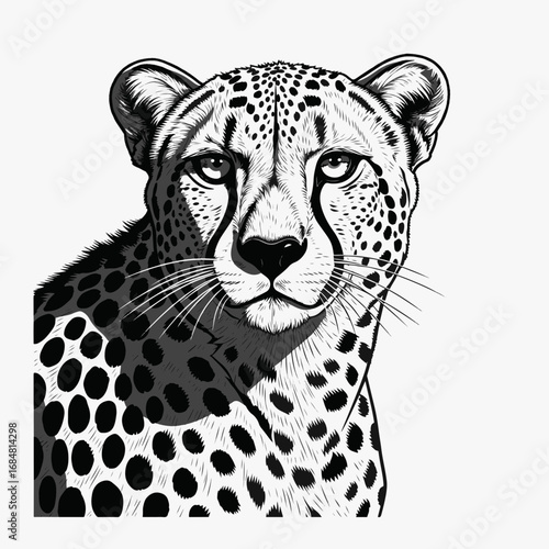 Black and white cheetah portrait created with graphic art showcases powerful animal. Detailed graphic art portrait highlights black and white coat patterns,
