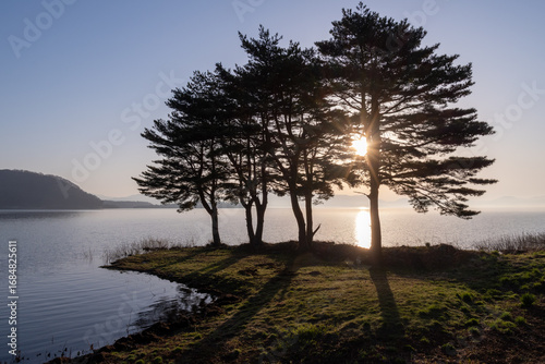 Wallpaper Mural Lake Inawashiro and forest at dawn Torontodigital.ca