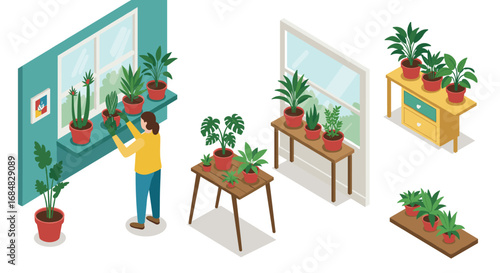 Indoor gardening scene with person pruning houseplants in isometric style