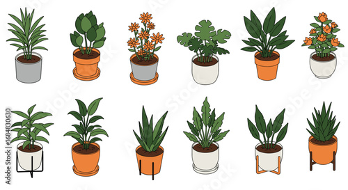 Stylish assortment of potted houseplants with modern geometric planters in flat design