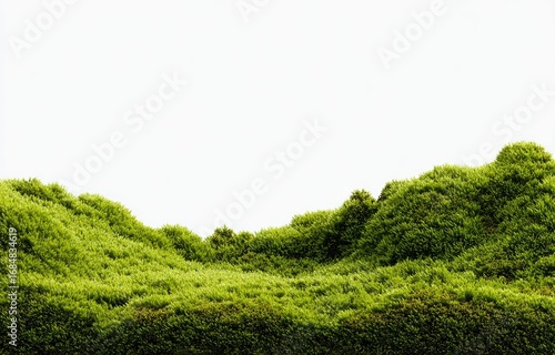 Rolling hills of vibrant green moss against a white background
