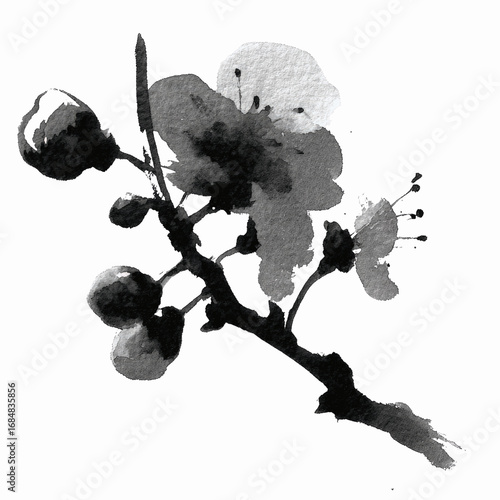 Monochrome Plum Blossom Branch A Watercolor