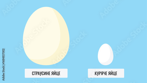 White egg on blue background. Vector illustration. Flat design style.