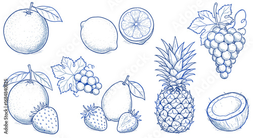 Hand drawn blue sketch of various fruits with leaves