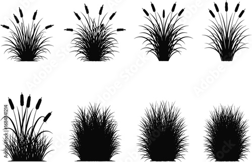 Black silhouette vector set of wild grass and reed plants with detailed leaves and flower spikes, nature landscape design elements.