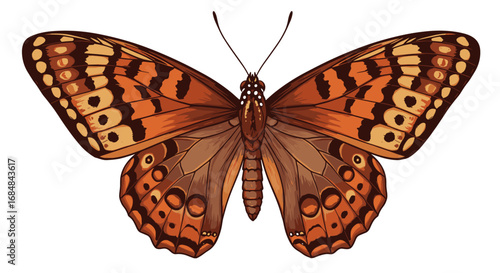 Exquisite monarch butterfly in detailed symmetrical design