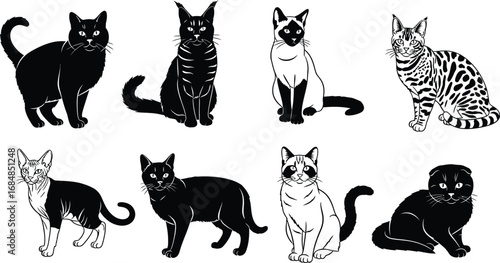 Collection of stylized domestic cat silhouettes in various poses silhouette