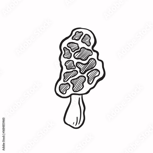 Morel mushroom line sketch monochrome vector