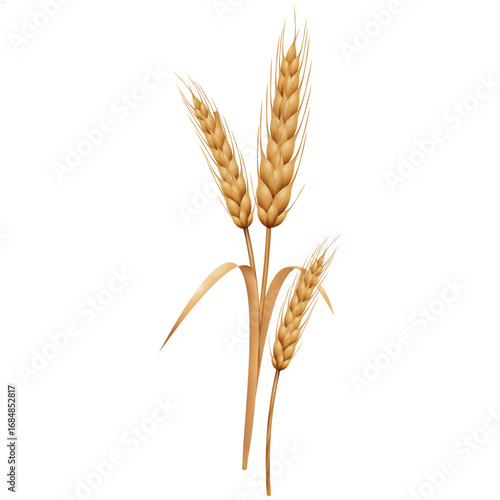 a strand of wheat plant