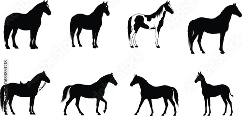 Collection of silhouetted horse poses and breeds silhouette