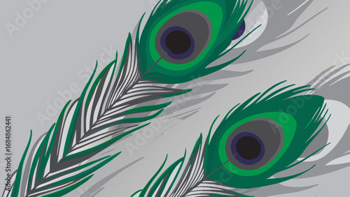 peacock-feather--intricate-vector-